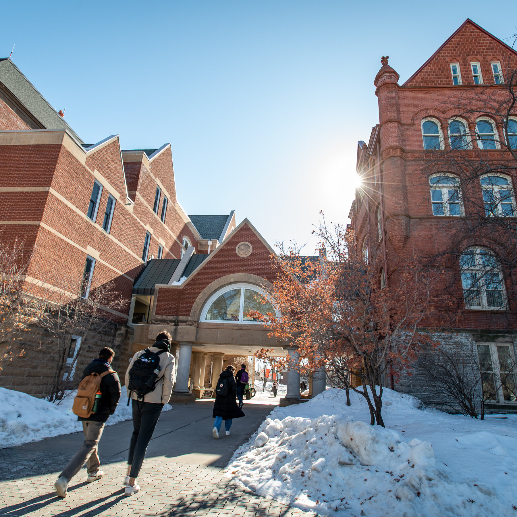 Colleges See Spike in Students With Disabilities, Including Elite Schools