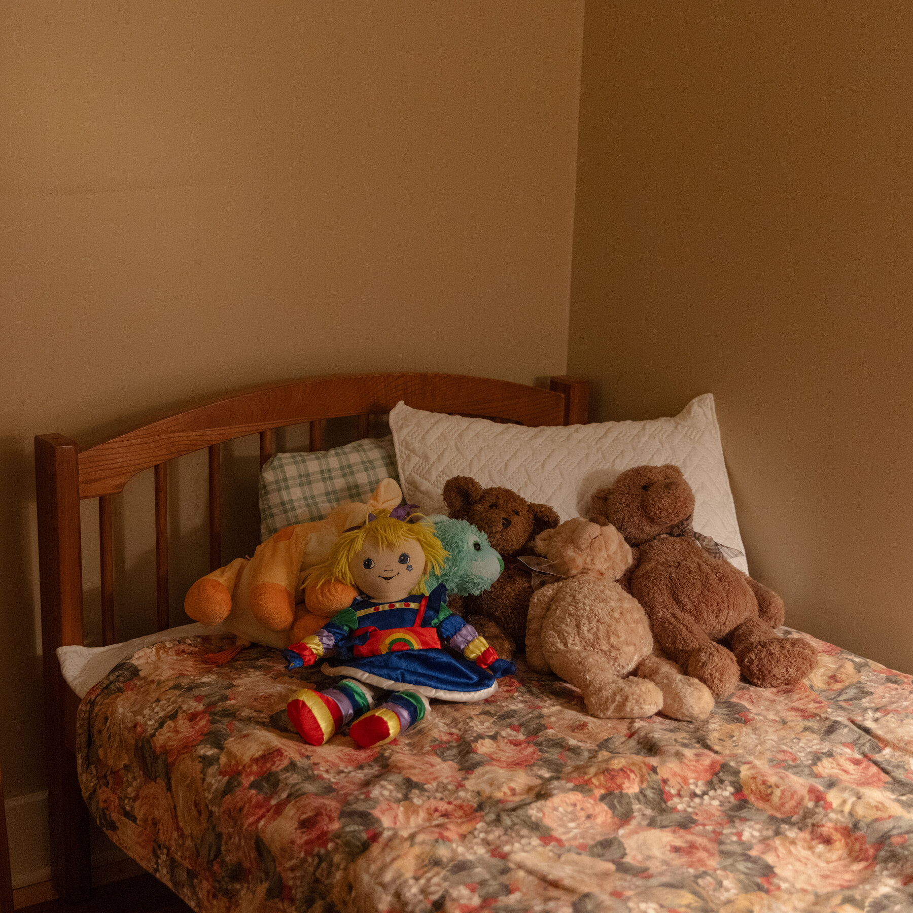 Trump Immigration Sweeps Spawn Underground Safe Houses