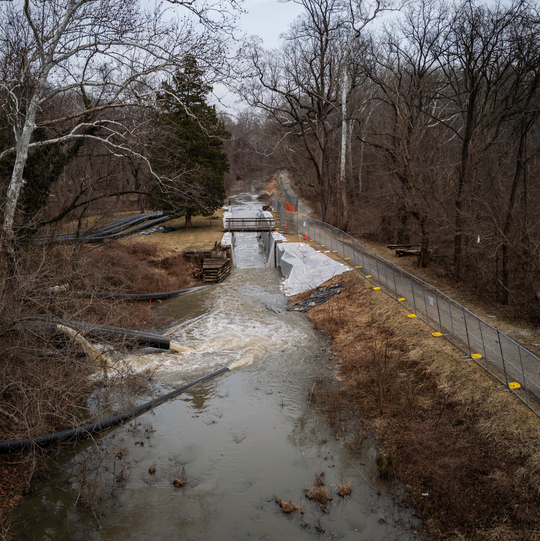 Potomac River in D.C. Is Safe, Officials Say. But Locals Still Worry About the Poop.