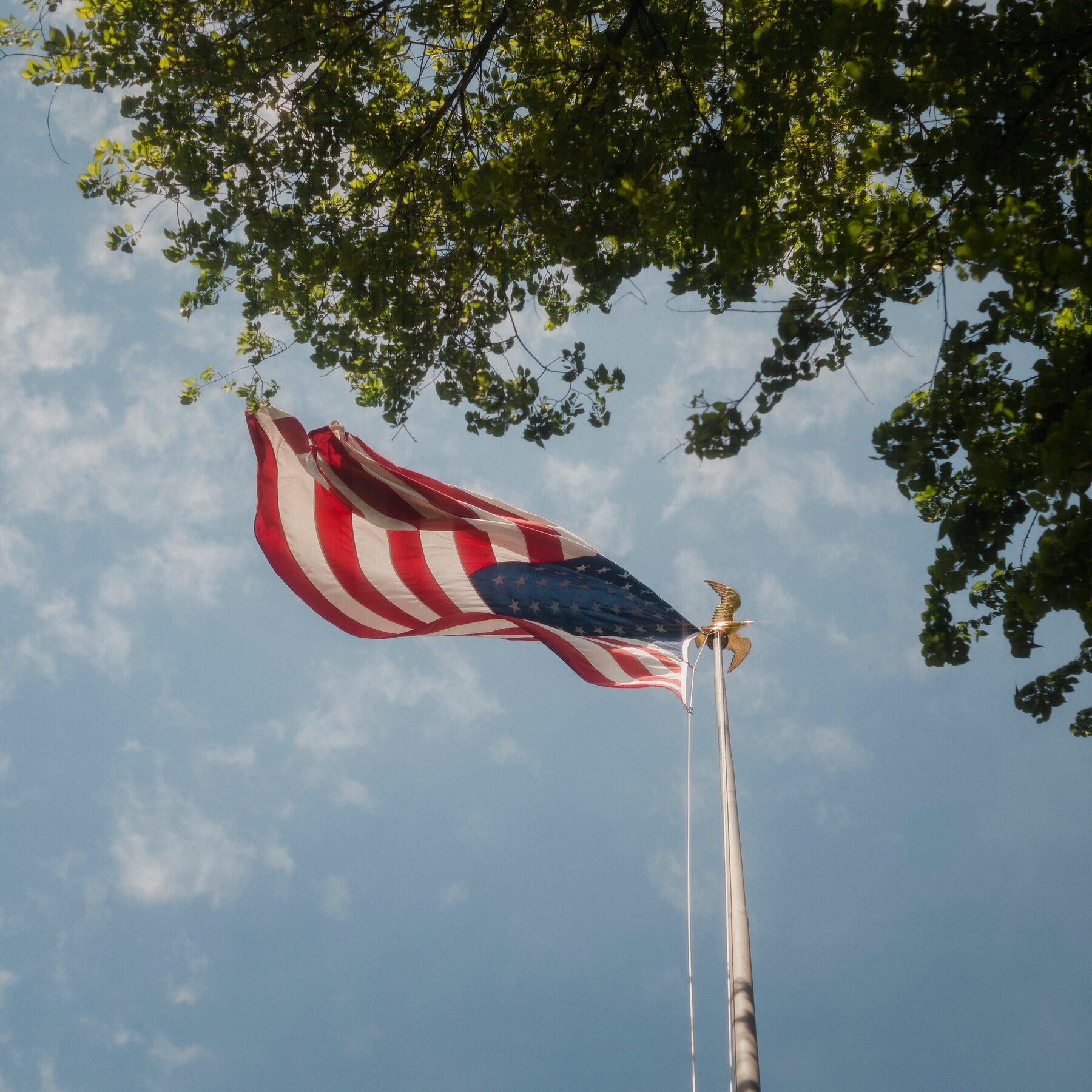 Tell Us About How You Pursue Happiness