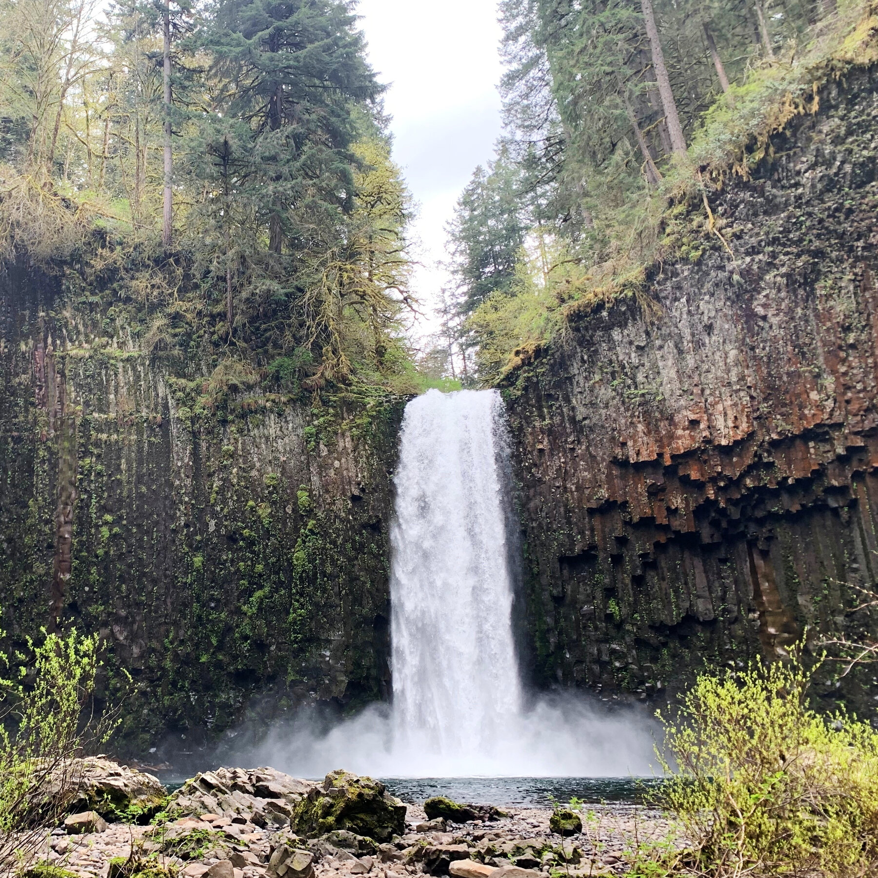 Abiqua Falls in Oregon Draws a State Offer After Listing on Real Estate Site