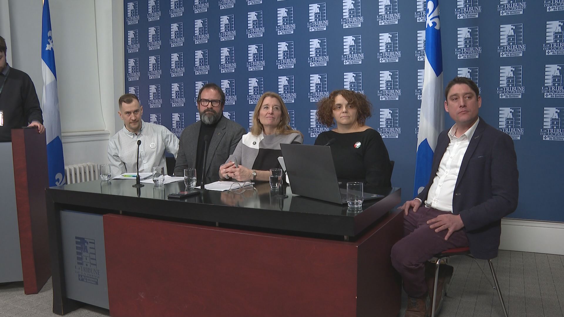 Hundreds of groups urge Quebec government to scrap controversial constitution