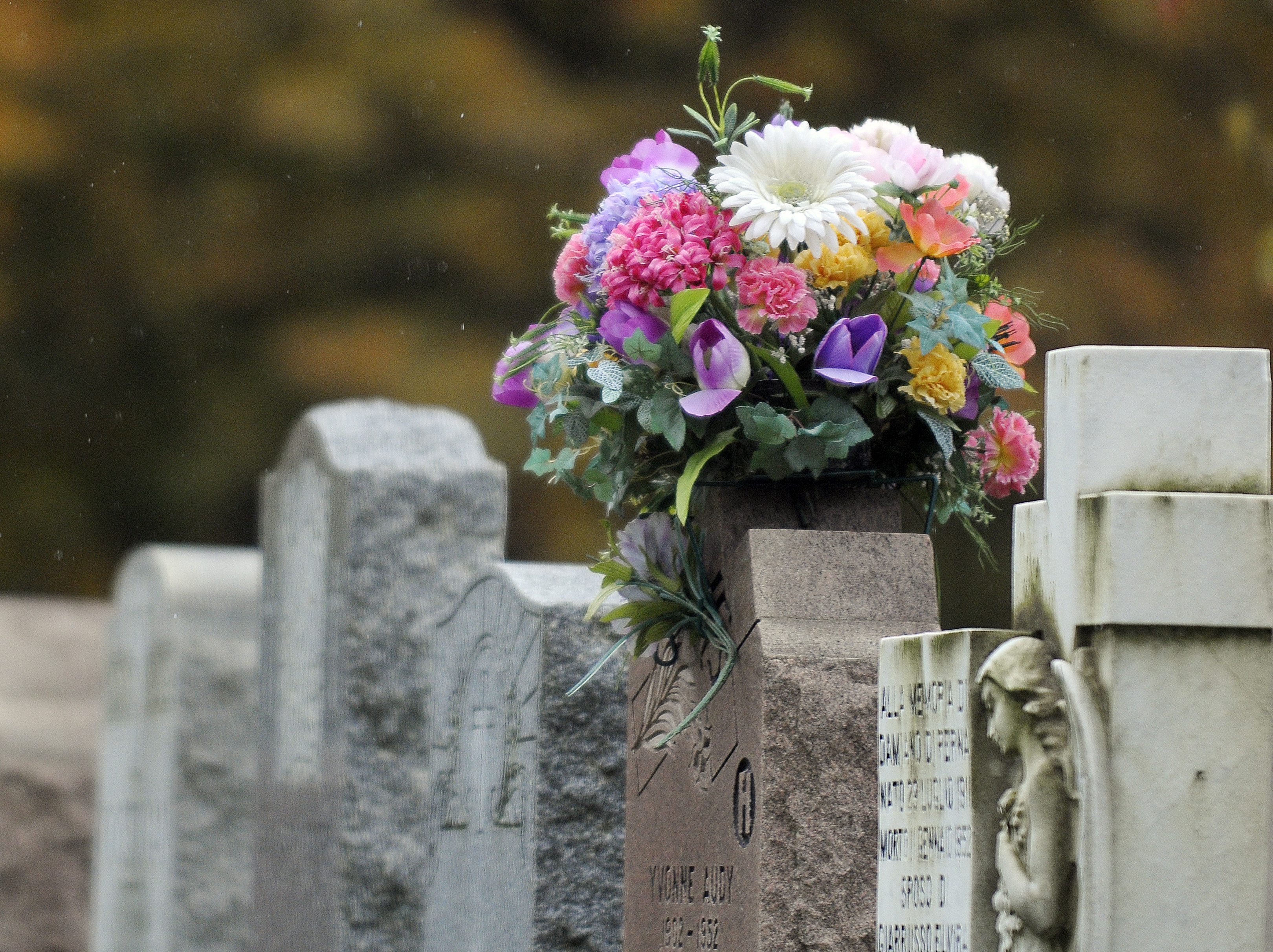 Potential light show at Canada’s largest cemetery causes controversy