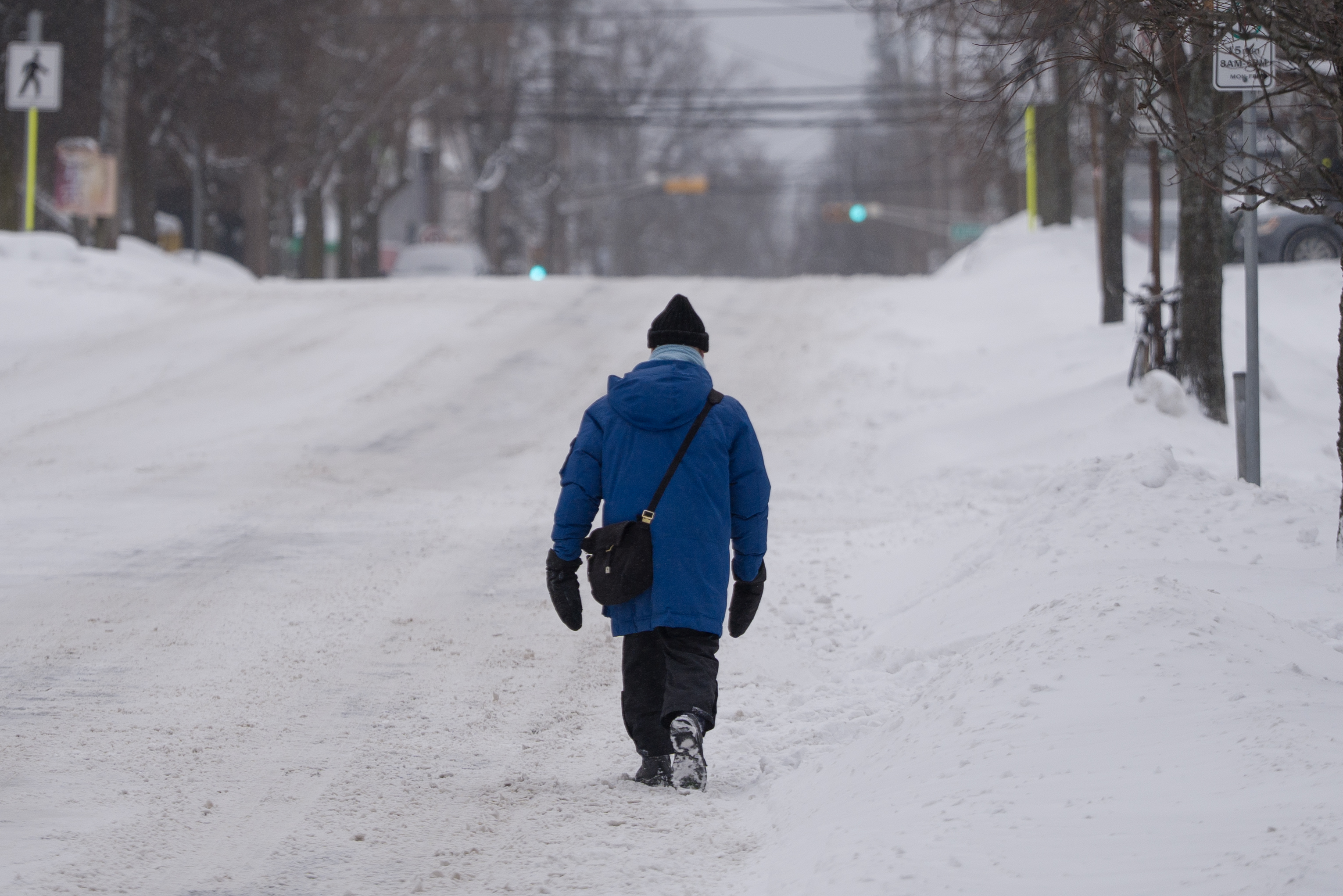 Parts of Nova Scotia, Quebec get early spring blast of snow