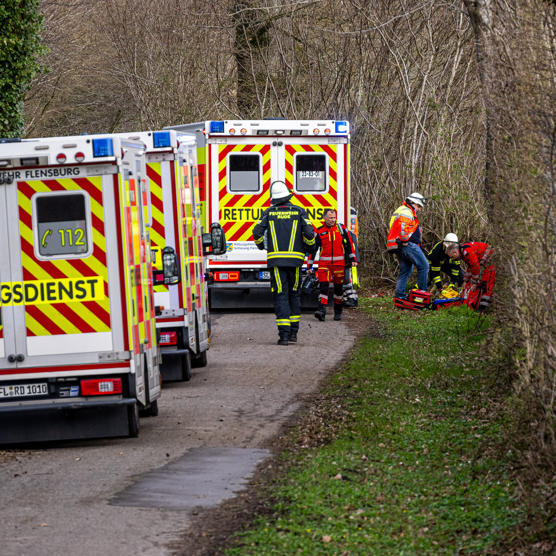 3 Dead After High Winds Topple Tree During Easter Egg Hunt in Germany