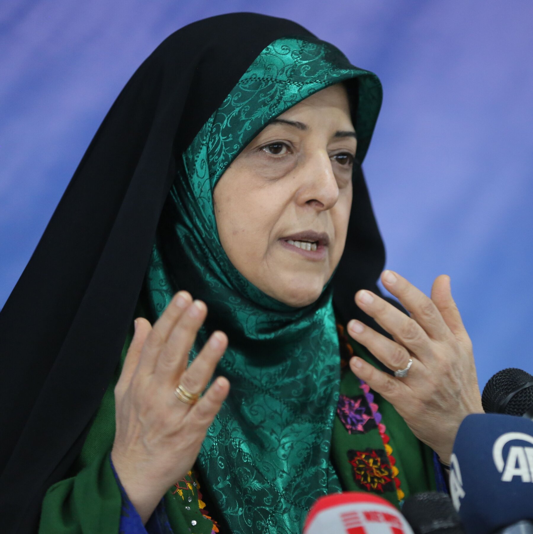 U.S. Moves to Deport Son of Prominent Figure in Iranian Revolution