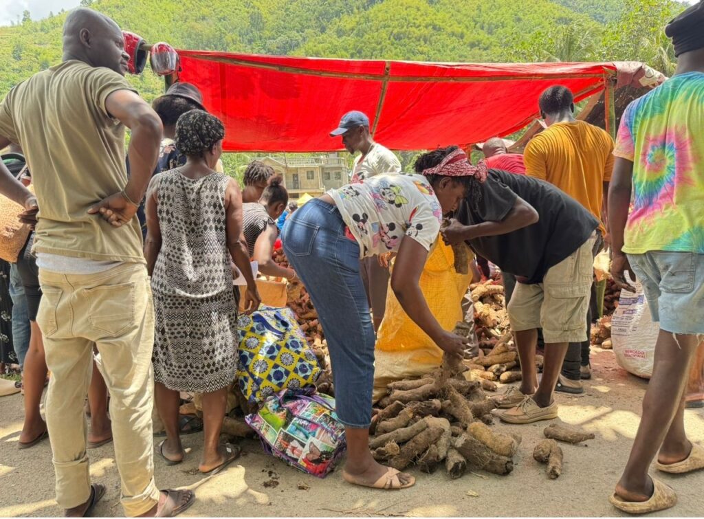 Une foire aux intrants agricoles lancée à Limbé pour dynamiser la campagne de printemps