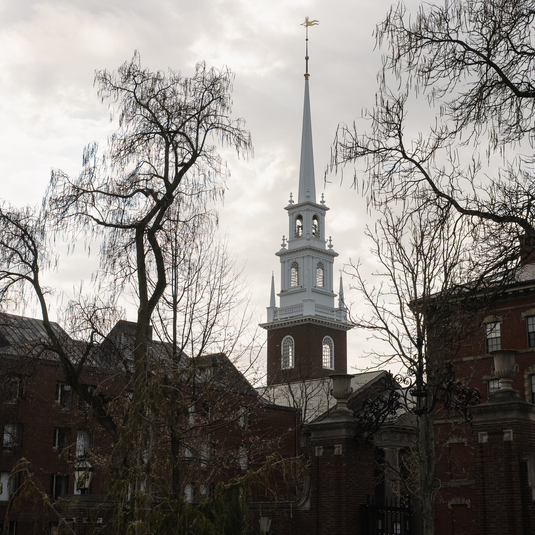 Epstein Wanted Connections at Harvard. Files Show Many Faculty Members Were Happy to Help.