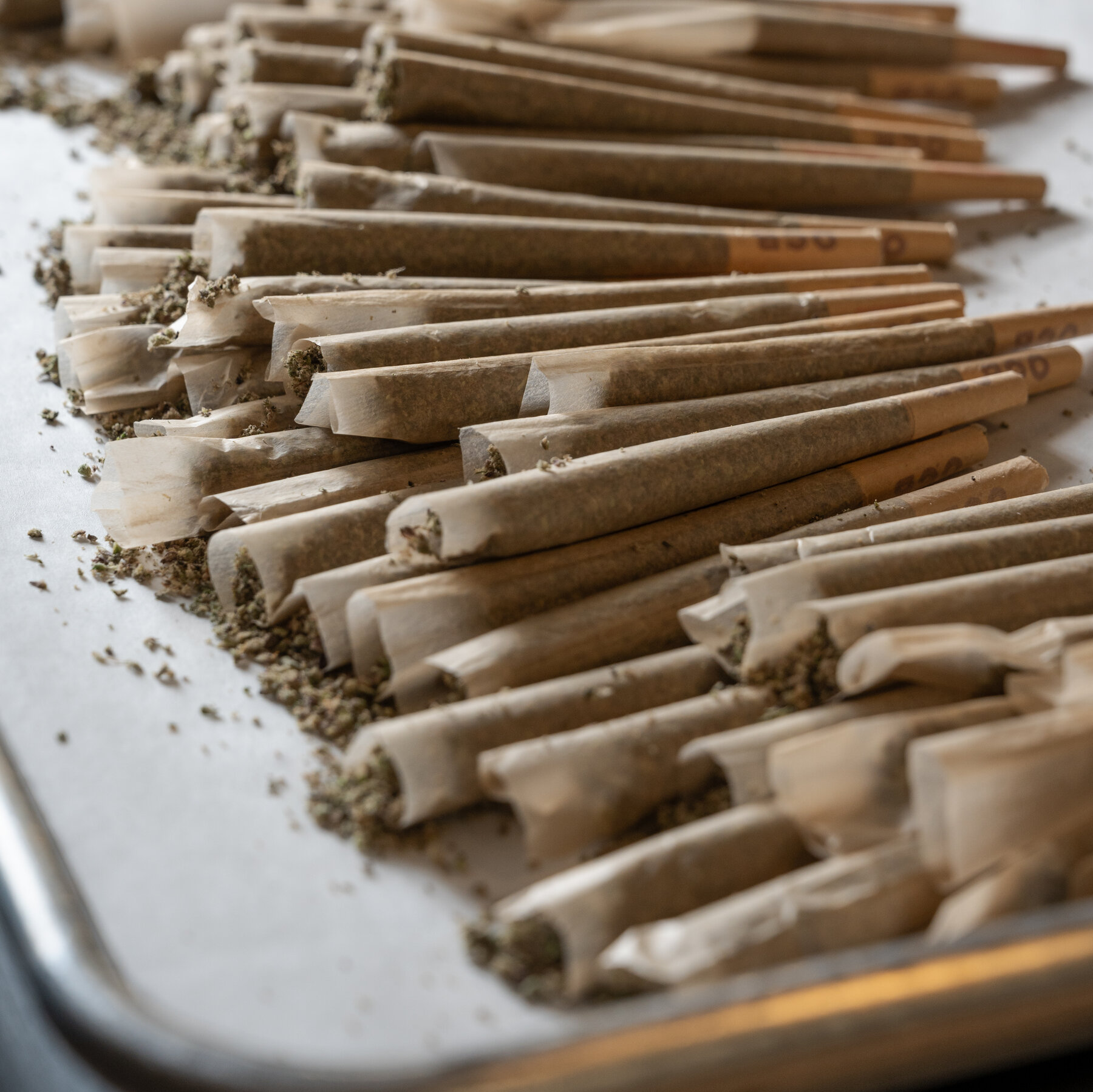 Trump Administration Reclassifies Medical Marijuana, Loosening Restrictions