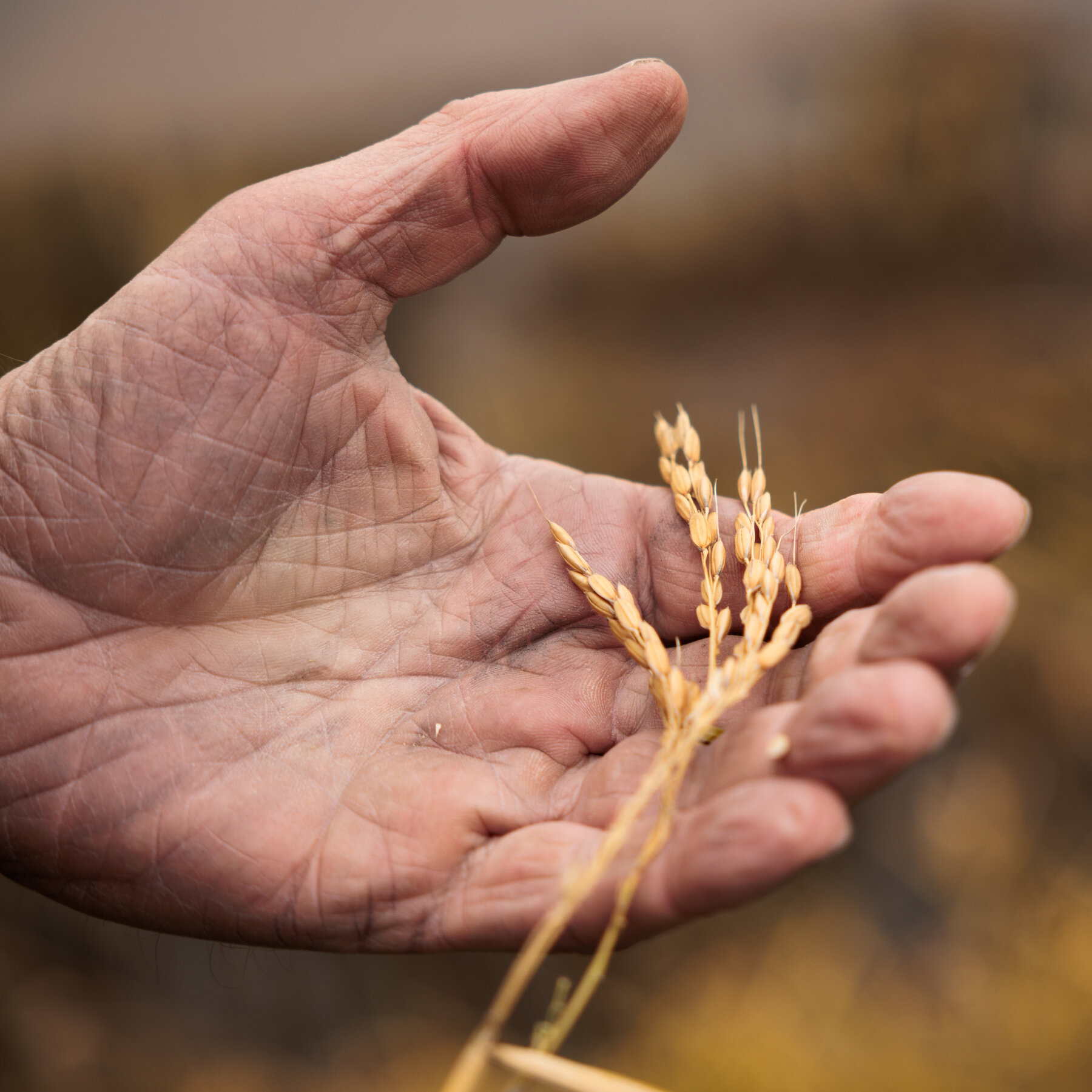 House Passes Farm Bill After Republican Infighting
