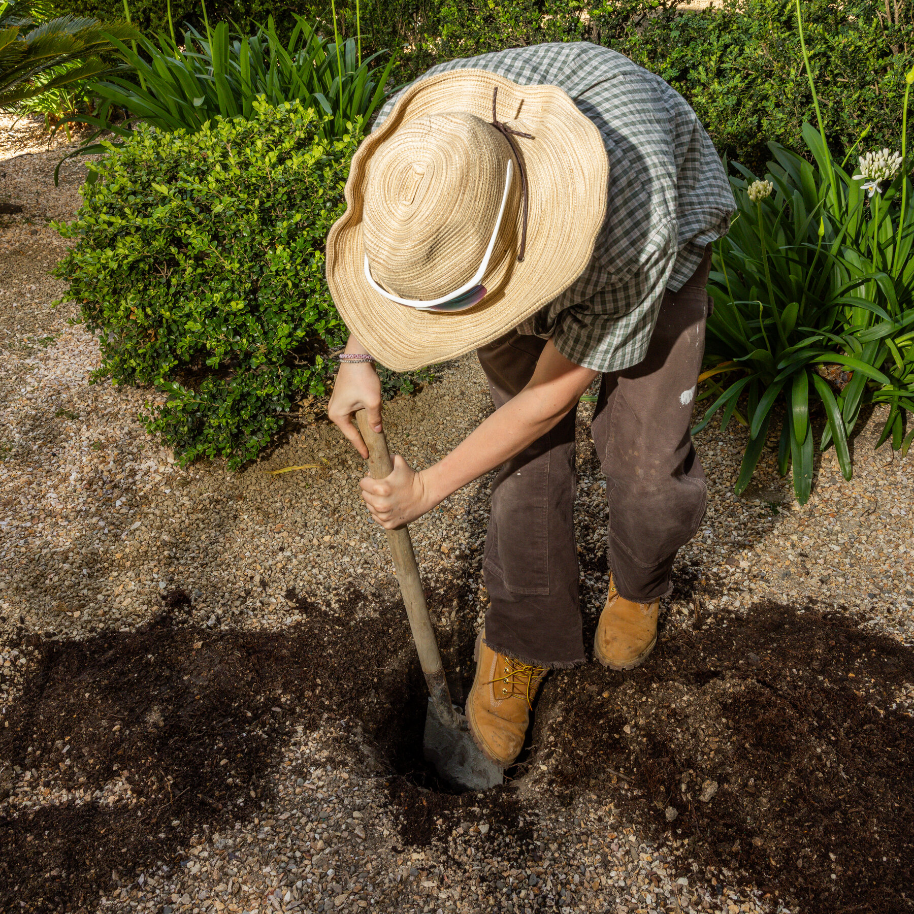 The Race Is On to Find the Treasure Buried in San Francisco