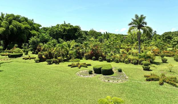 Des citoyens lancent une pétition pour sauver le jardin botanique des Cayes