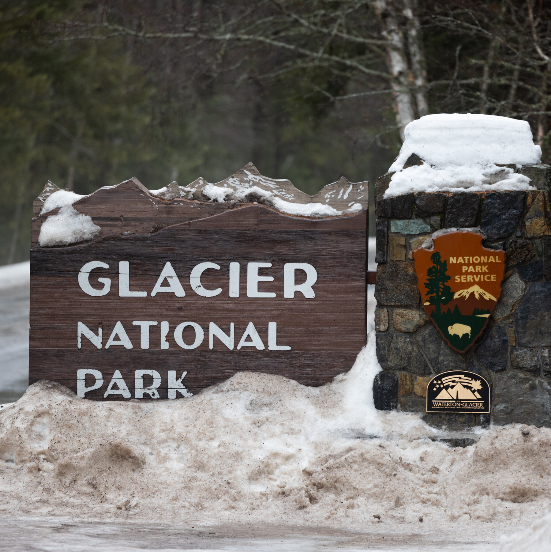 Hiker Killed by Bear at Glacier National Park, Officials Say