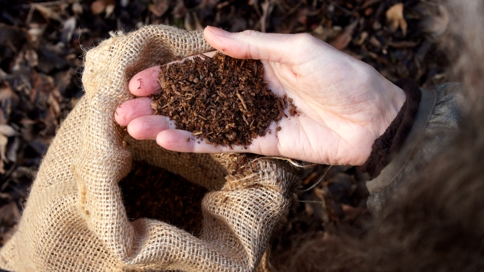 Montreal company on mission to turn pet poop into compost