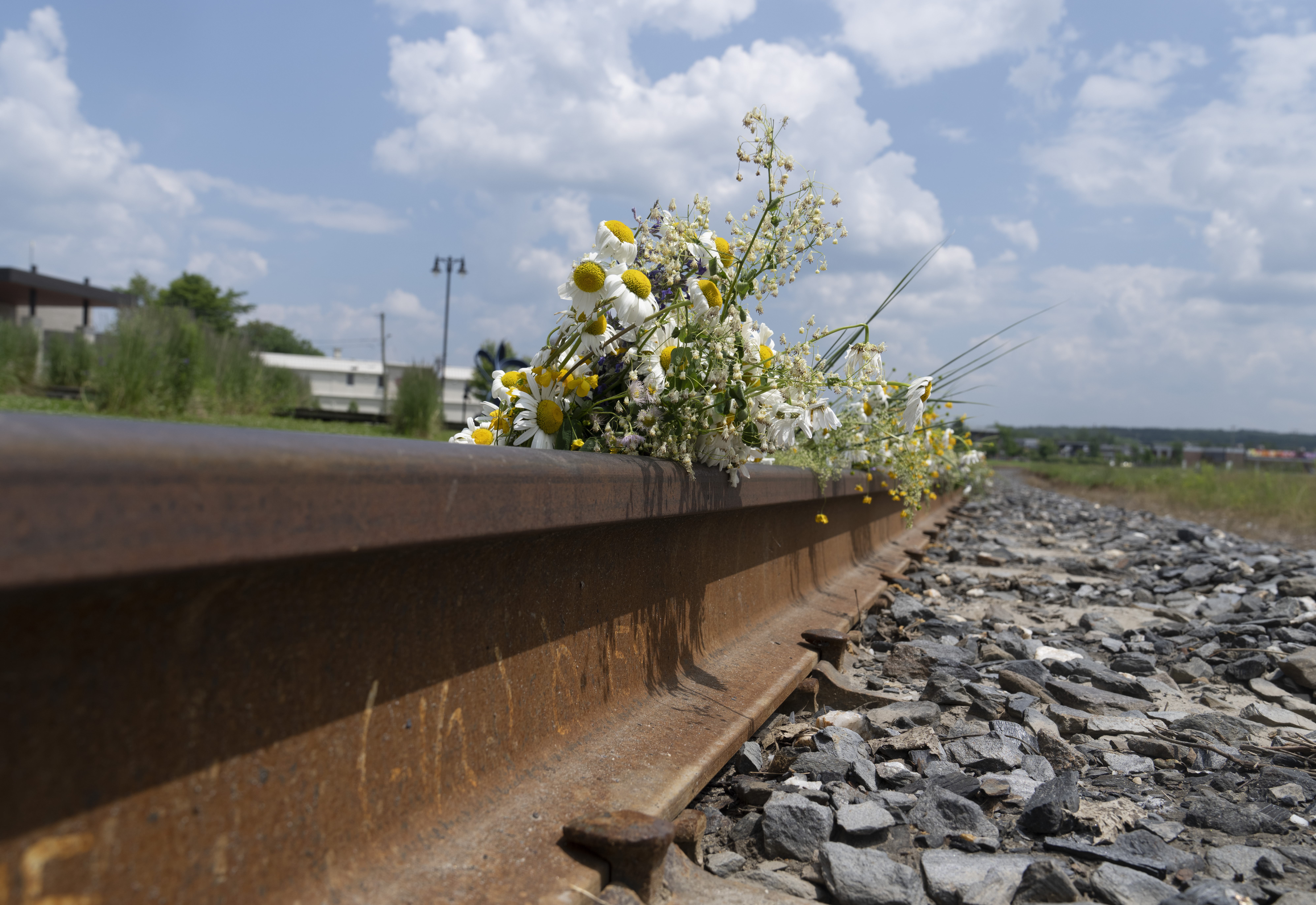 Lac-Mégantic: Supreme Court refusal clears CP rail of liability in 2013 tragedy