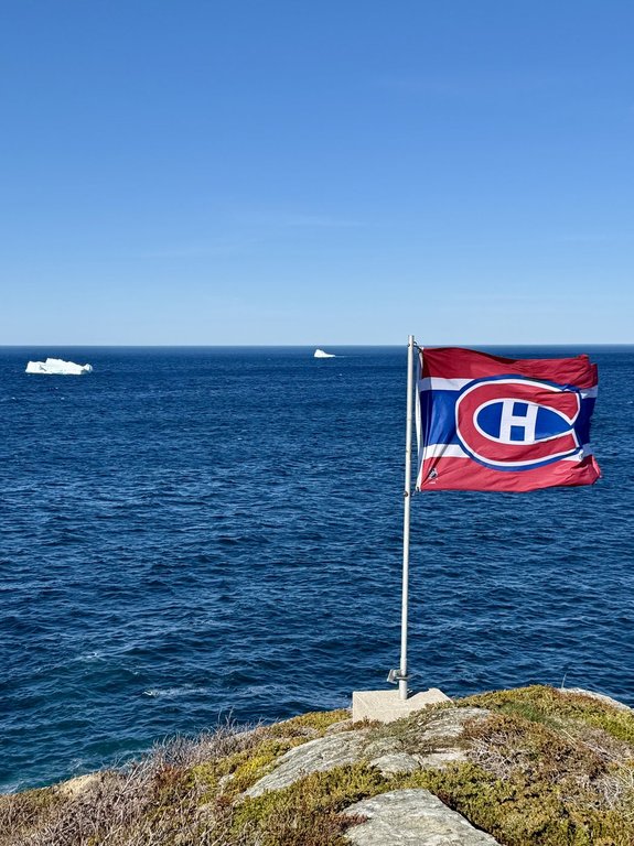 Alex Newhook fans turn N.L. bars into ‘mini Bell Centres’ during Habs playoff games