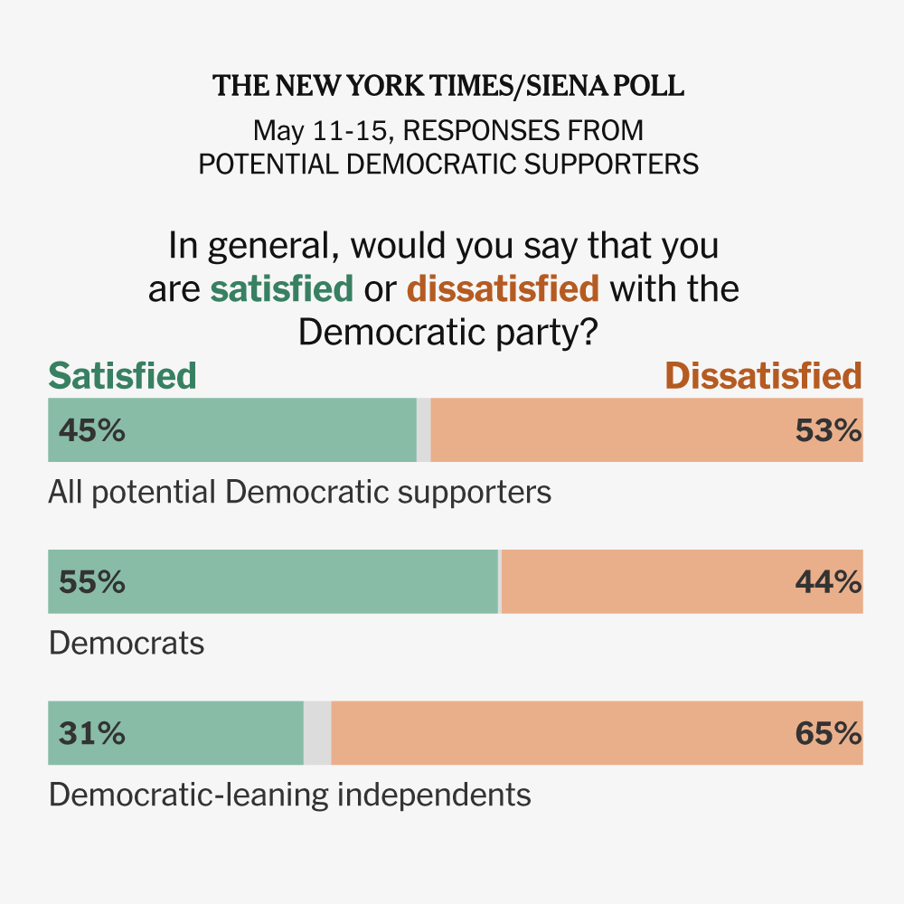 Democrats’ Midterm Strength Masks Fierce Divides and Frustration, Poll Shows