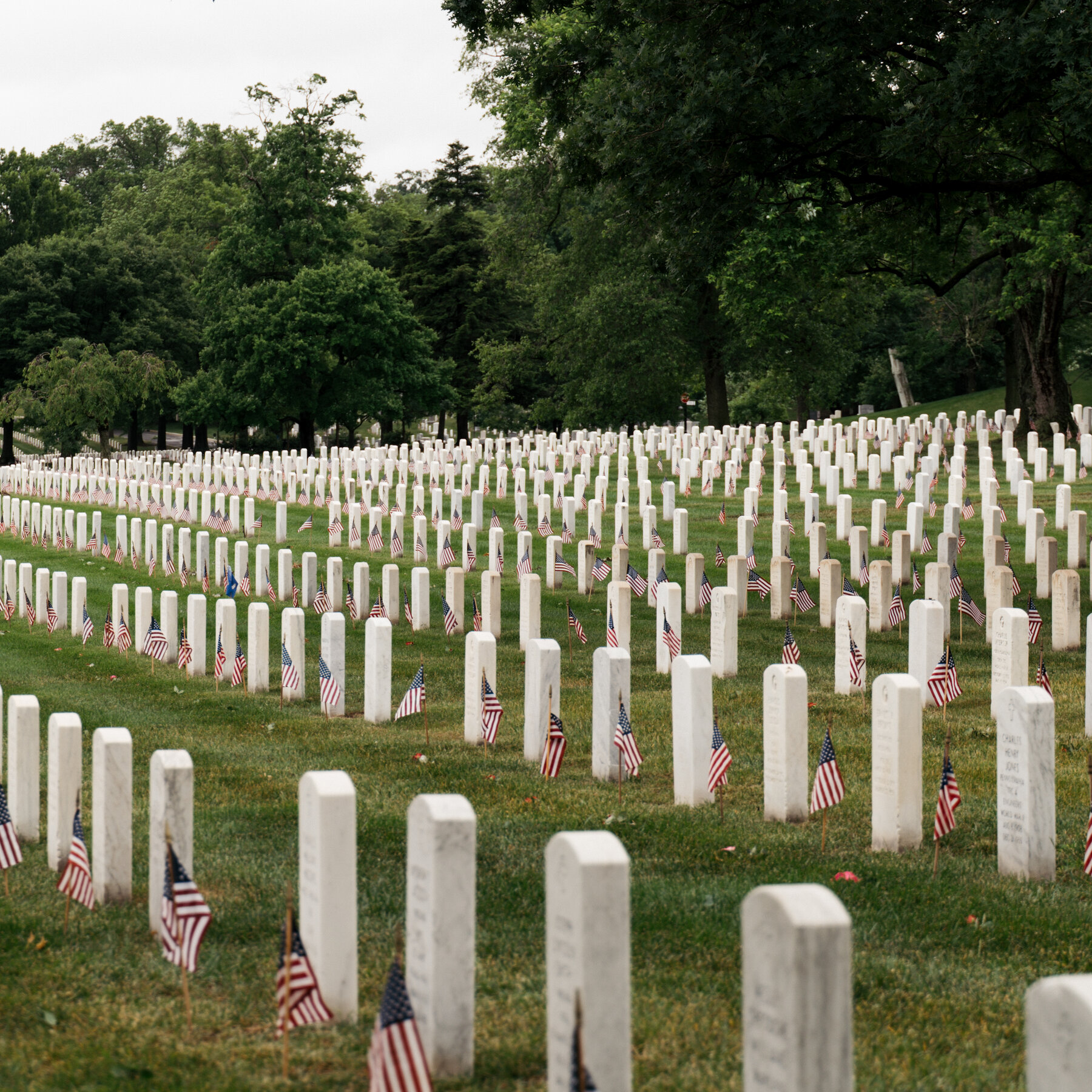 Amid Iran War, Remembering the Losses From Another Middle East Conflict