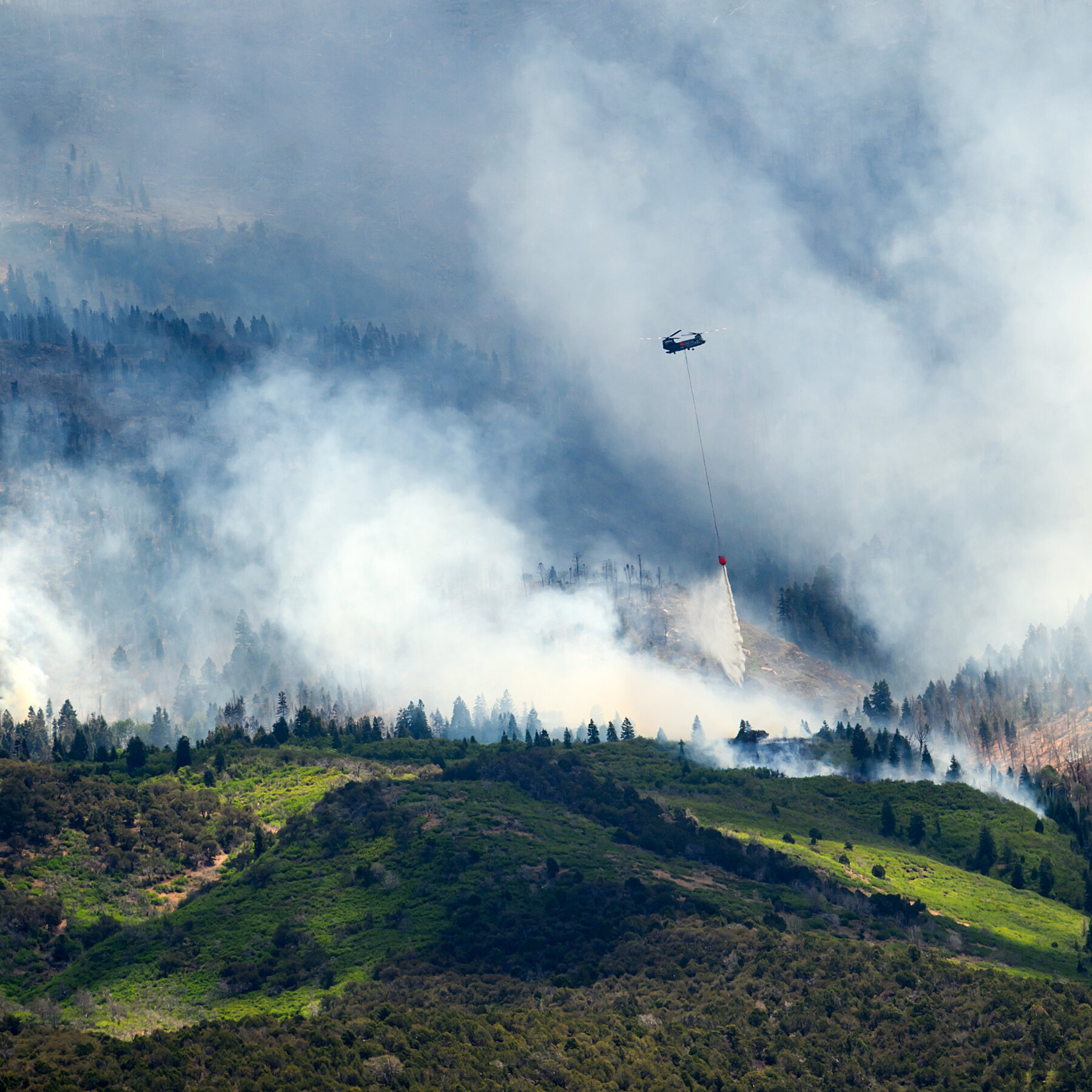 What to Know About Wildfires in Colorado and Other Western States