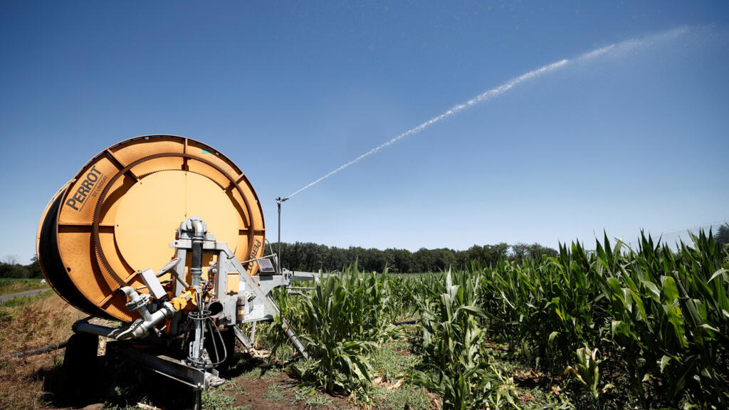 French farmers race to adapt as repeated heatwaves hit crops and livestock