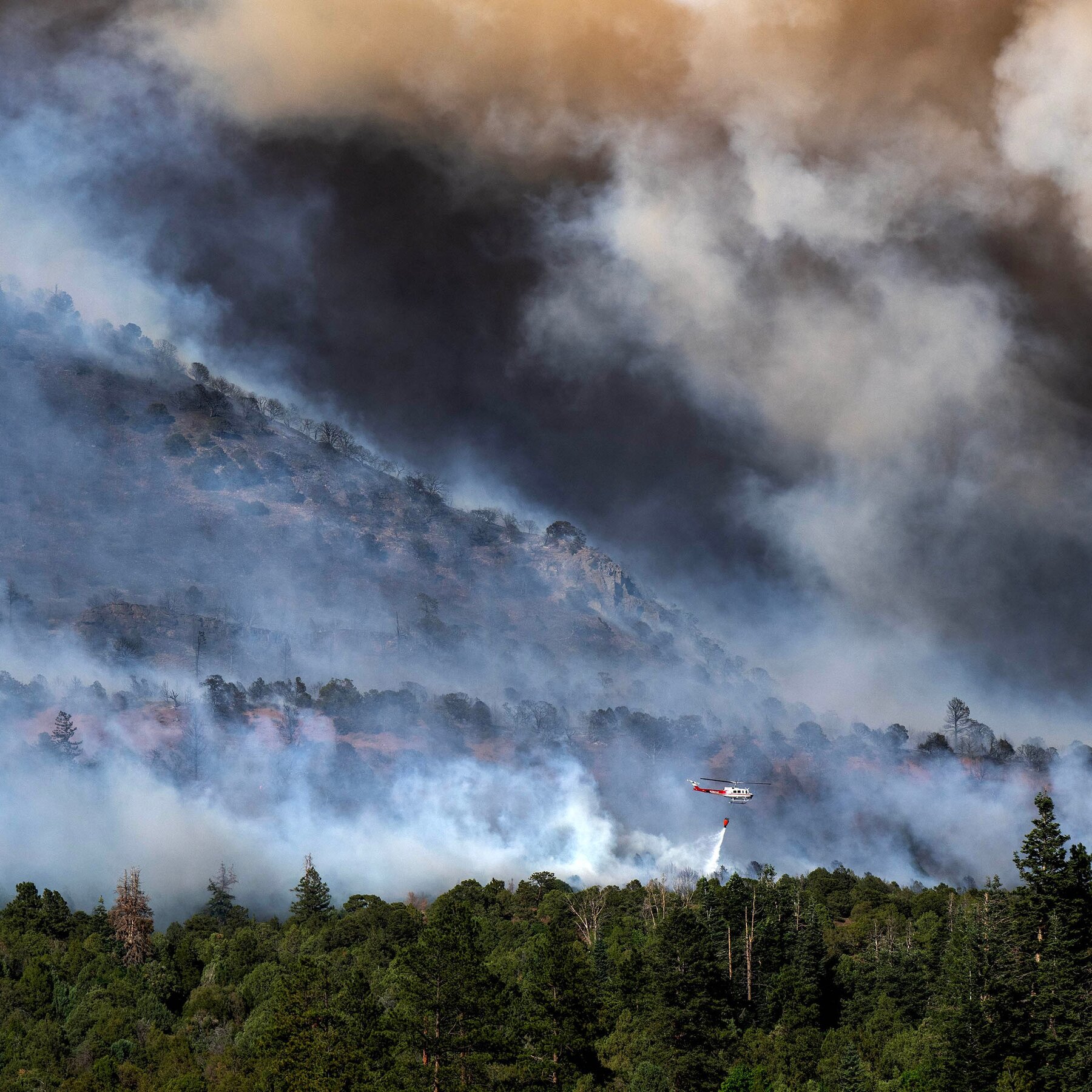 Helicopter Pilot Dies While Fighting Wildfire in Western Colorado
