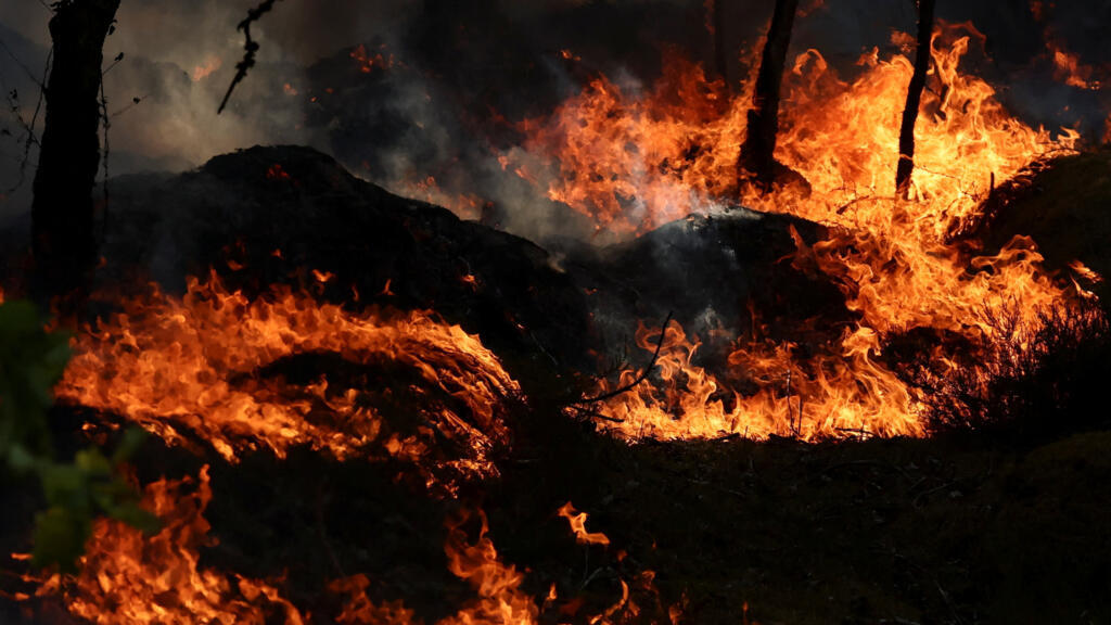 Fifty-nine arrested over wildfires, incuding two for Fontainebleau near Paris