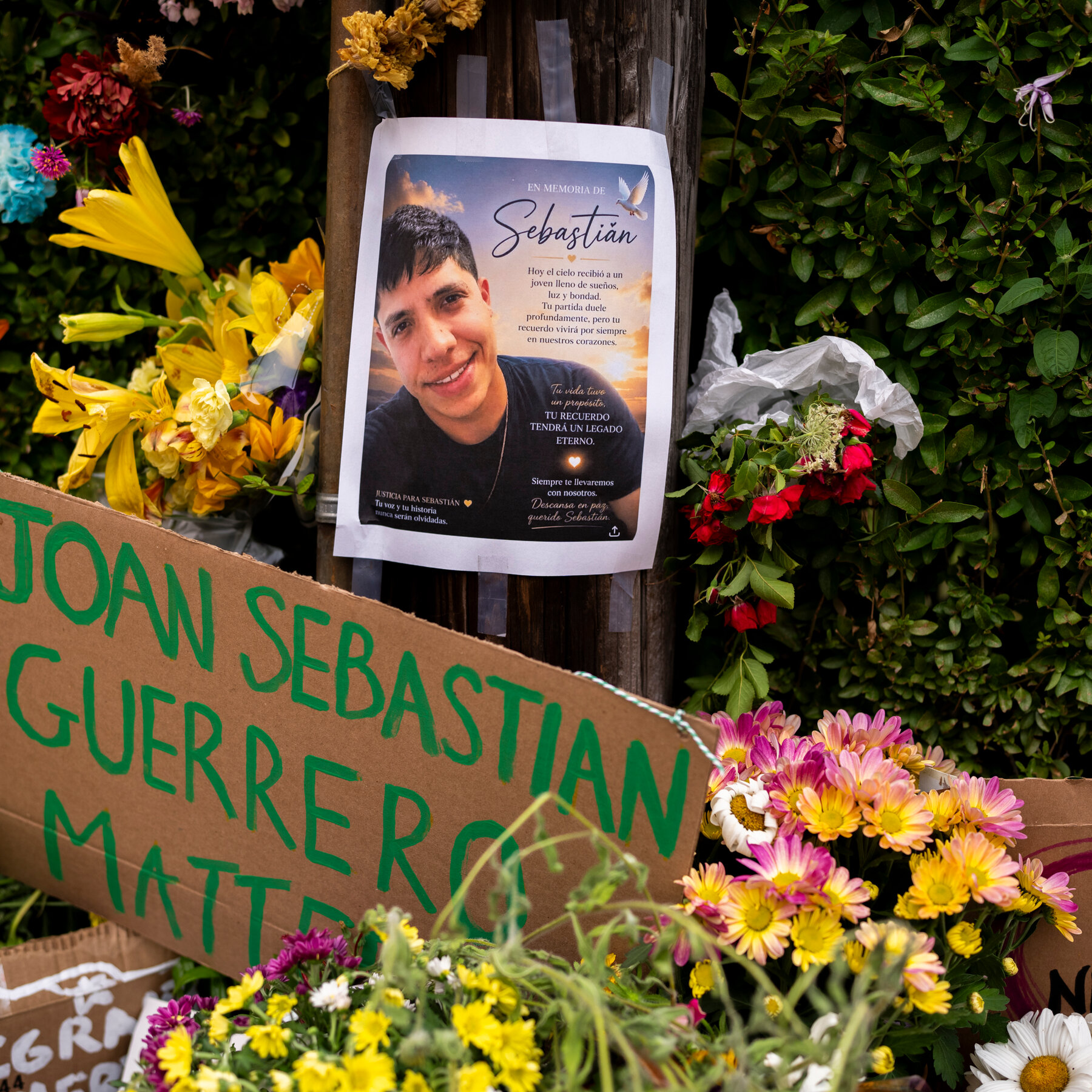 Colombian Immigrant Killed by ICE in Maine Had Legal Status, Father Says