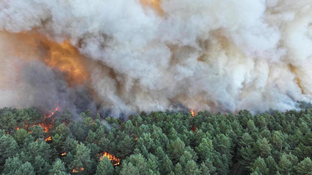 Firefighters tackle flare-ups in Fontainebleau forest after fires brought under control