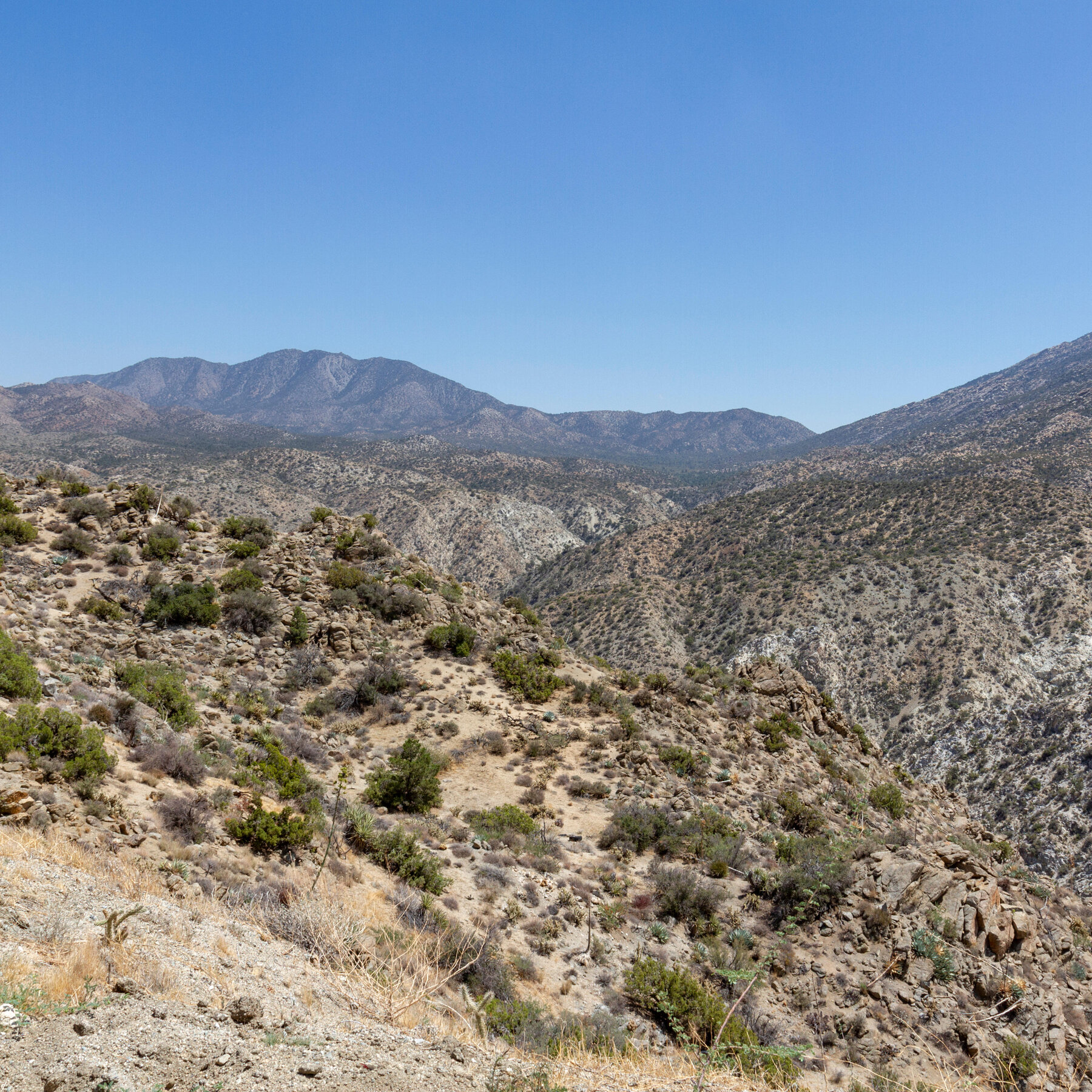 Remains of California Millionaire Who Vanished 45 Years Ago Are Identified