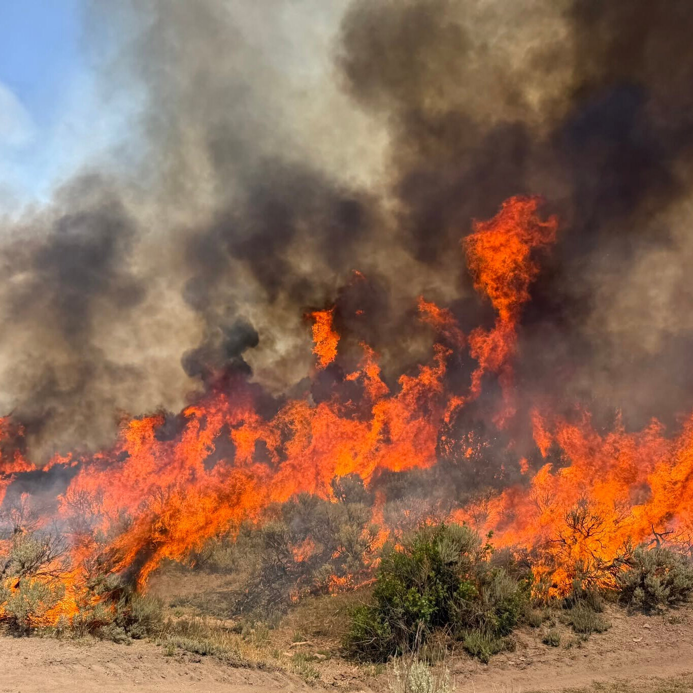 Two Killed in Firefighting Helicopter Crash Near Utah Wildfire