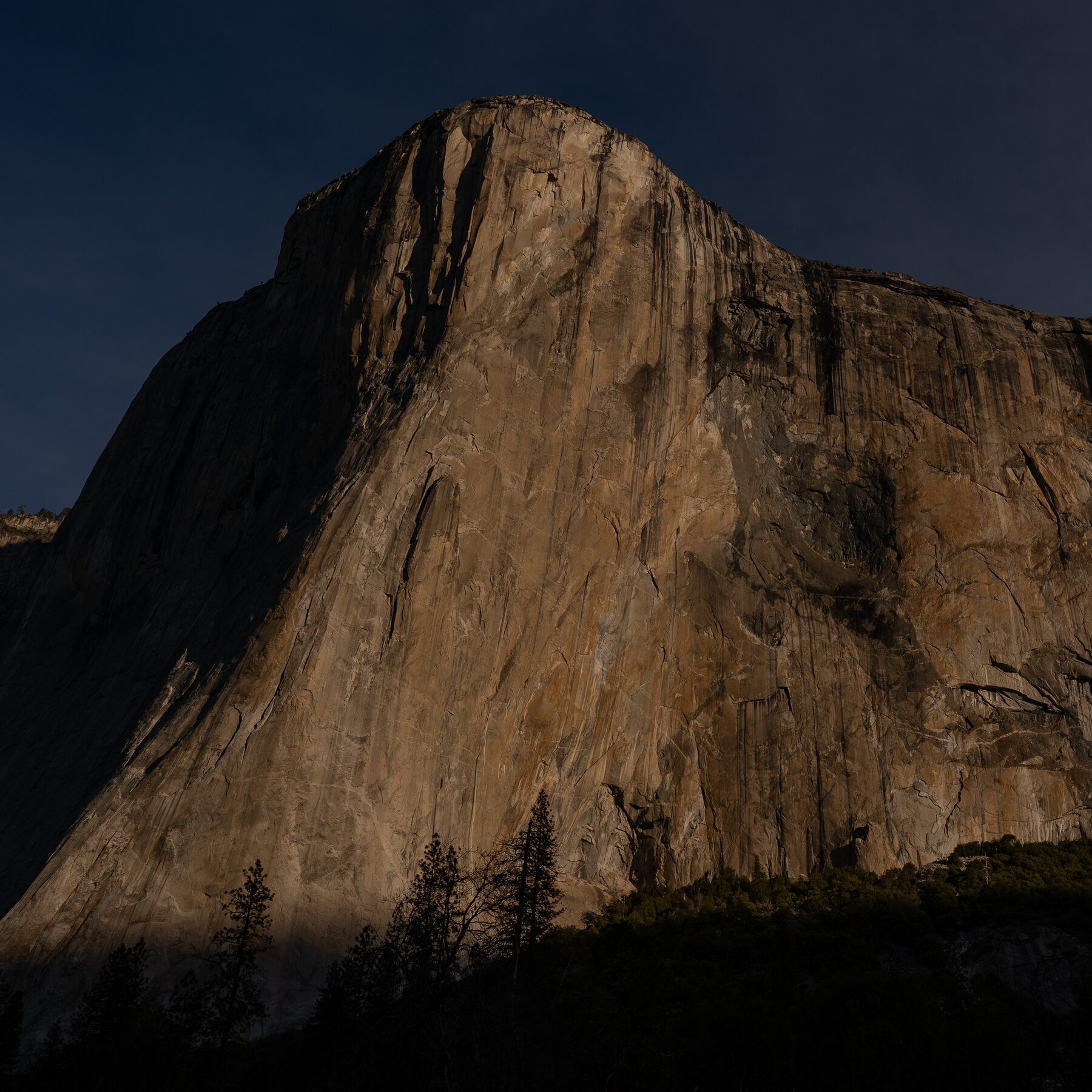 Jake Whisenant, Who Raced Up Yosemite’s El Capitan at Record Speed, Dies in a Fall