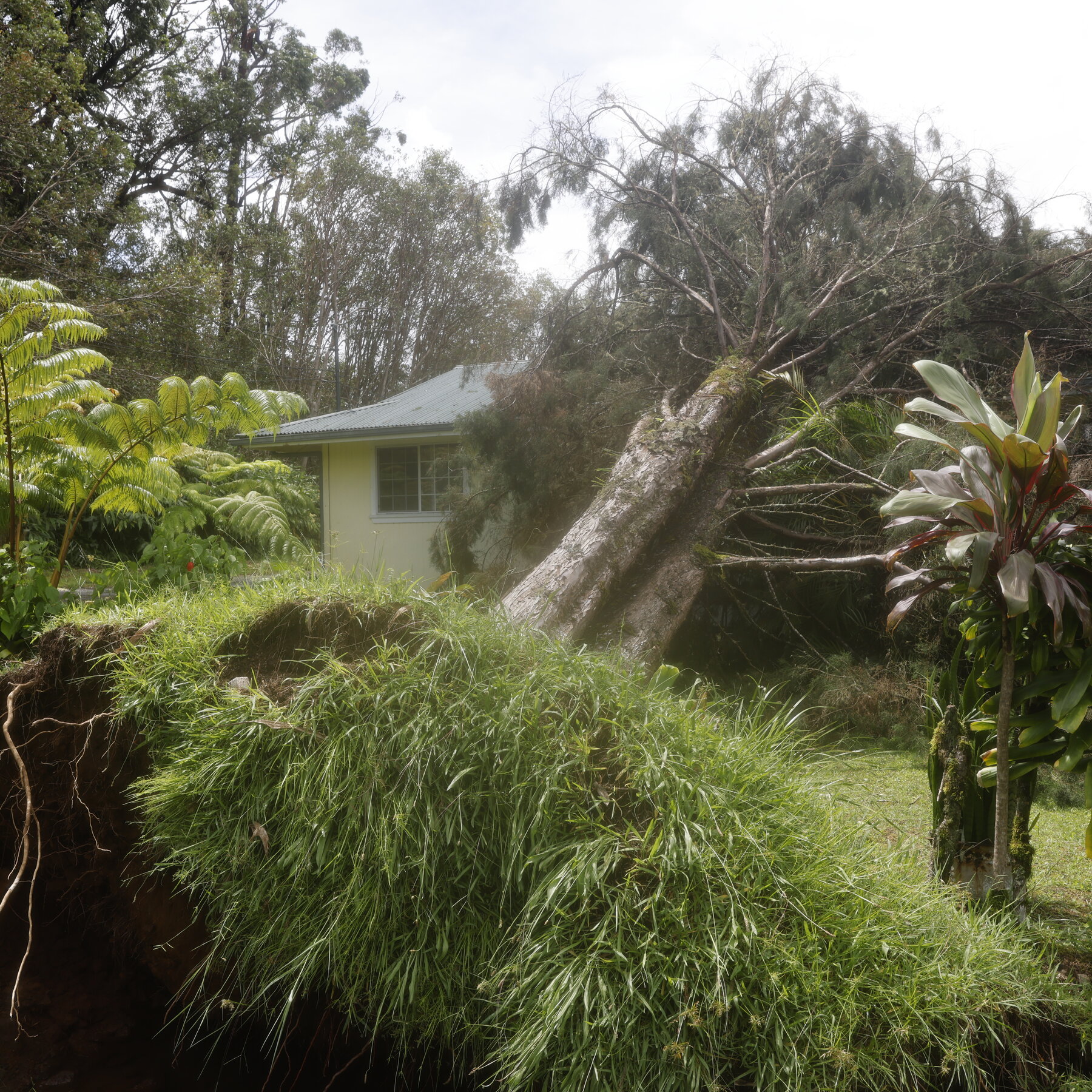 What We Know About Damages From Hurricane Lala in Hawaii