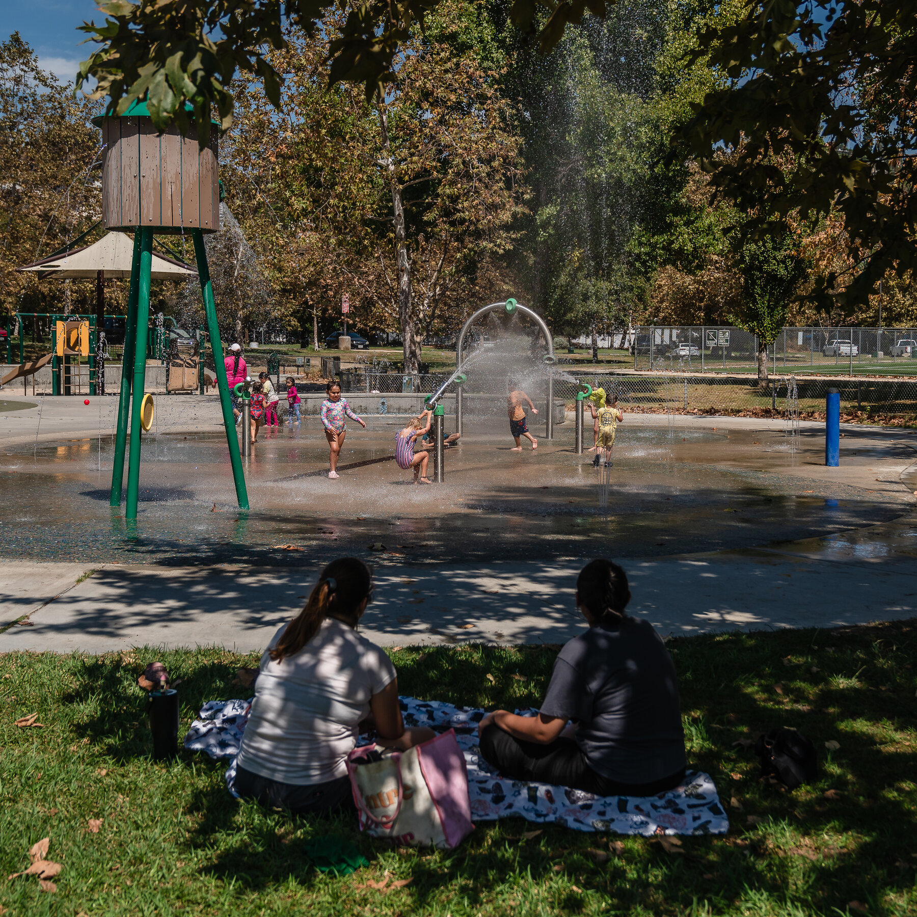 Summer Weather in L.A. Was Perfect. Then Came Humidity and Mosquitoes.