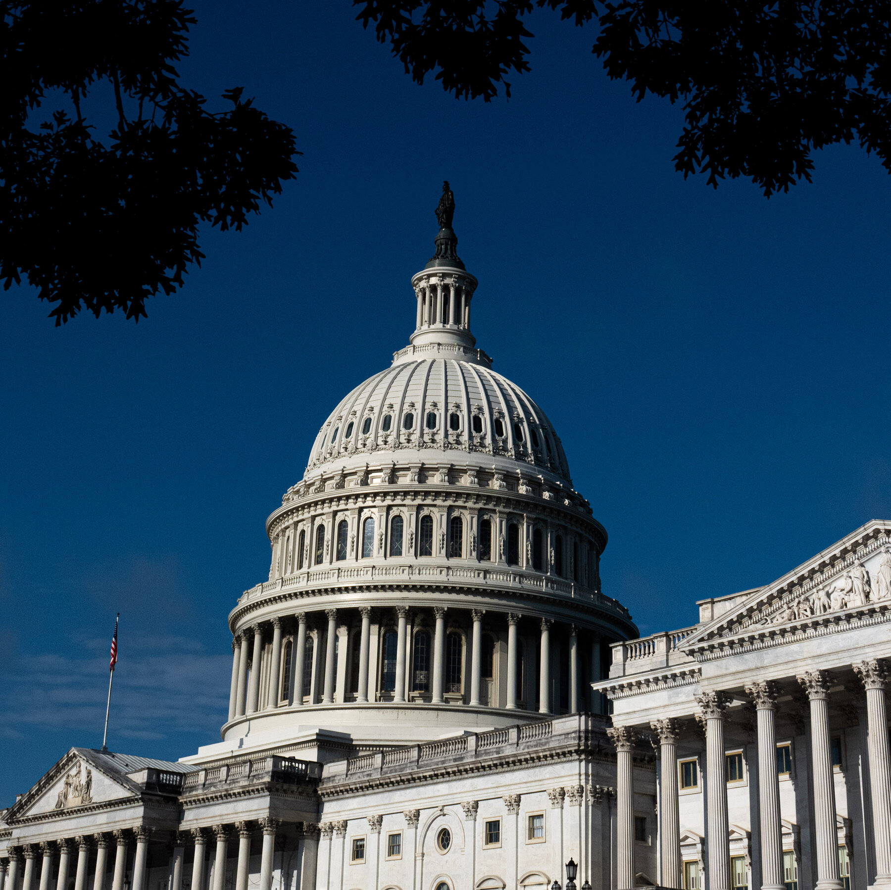 Man Accused of Bringing Guillotine to D.C. Is Arrested