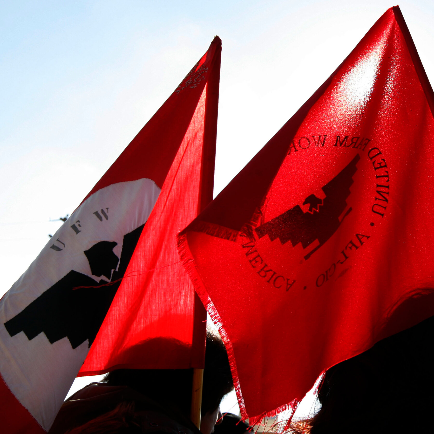 New Accuser Sues Foundations With Ties to Cesar Chavez