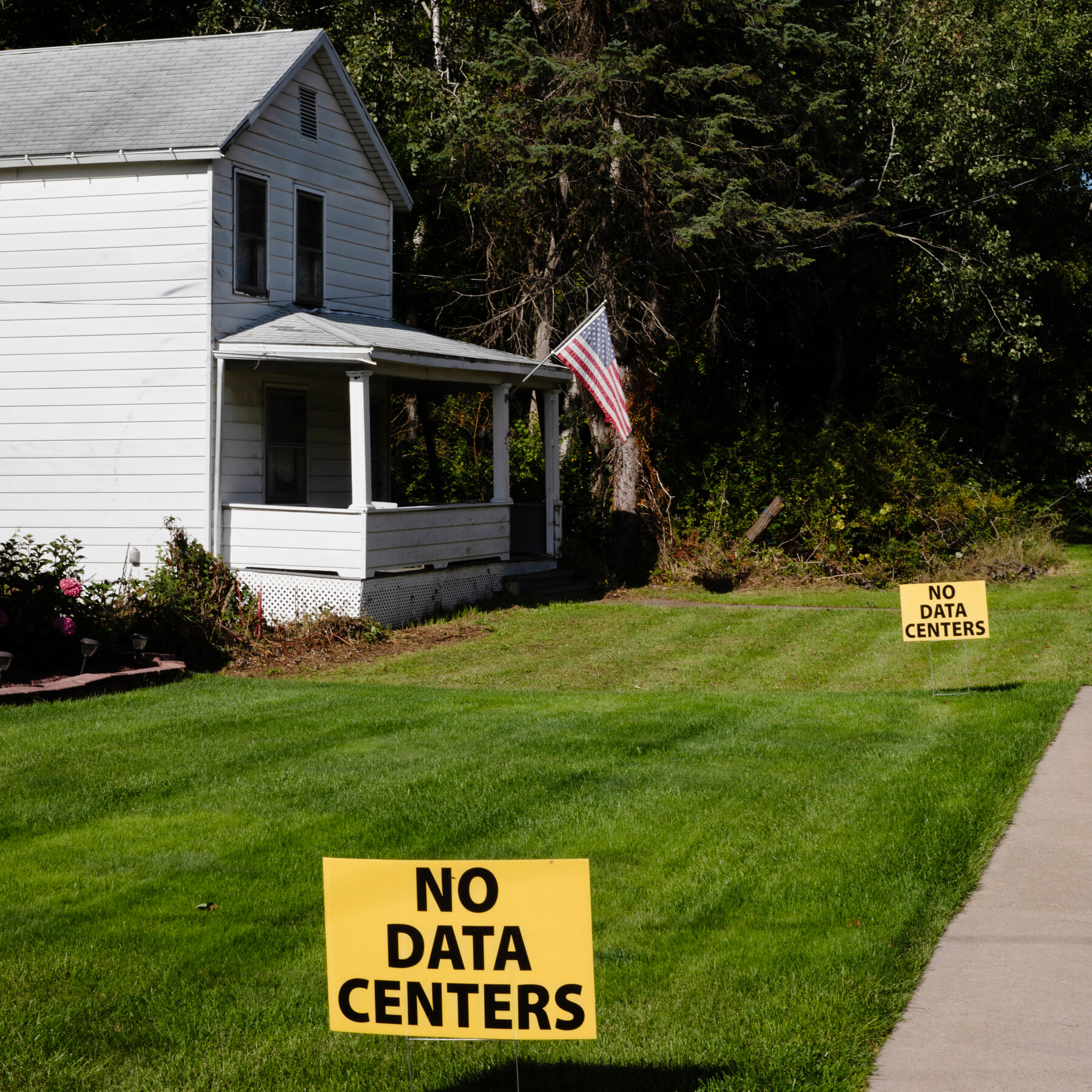 ‘I Was Sold a Bill of Goods’: Americans and the Distrust Election