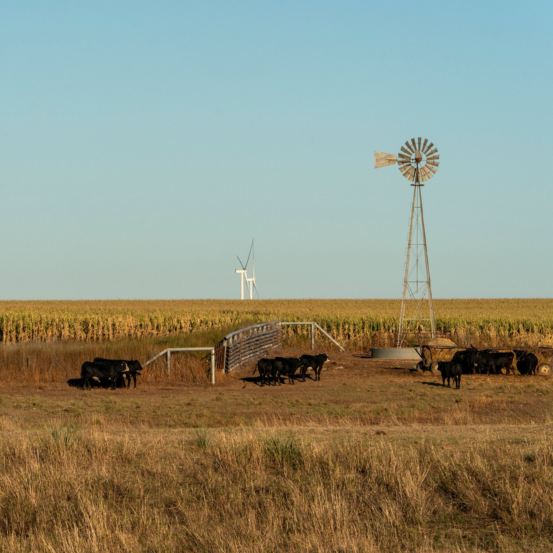 Republicans Held Onto the Great Plains for Years. Now They’re Nervous.
